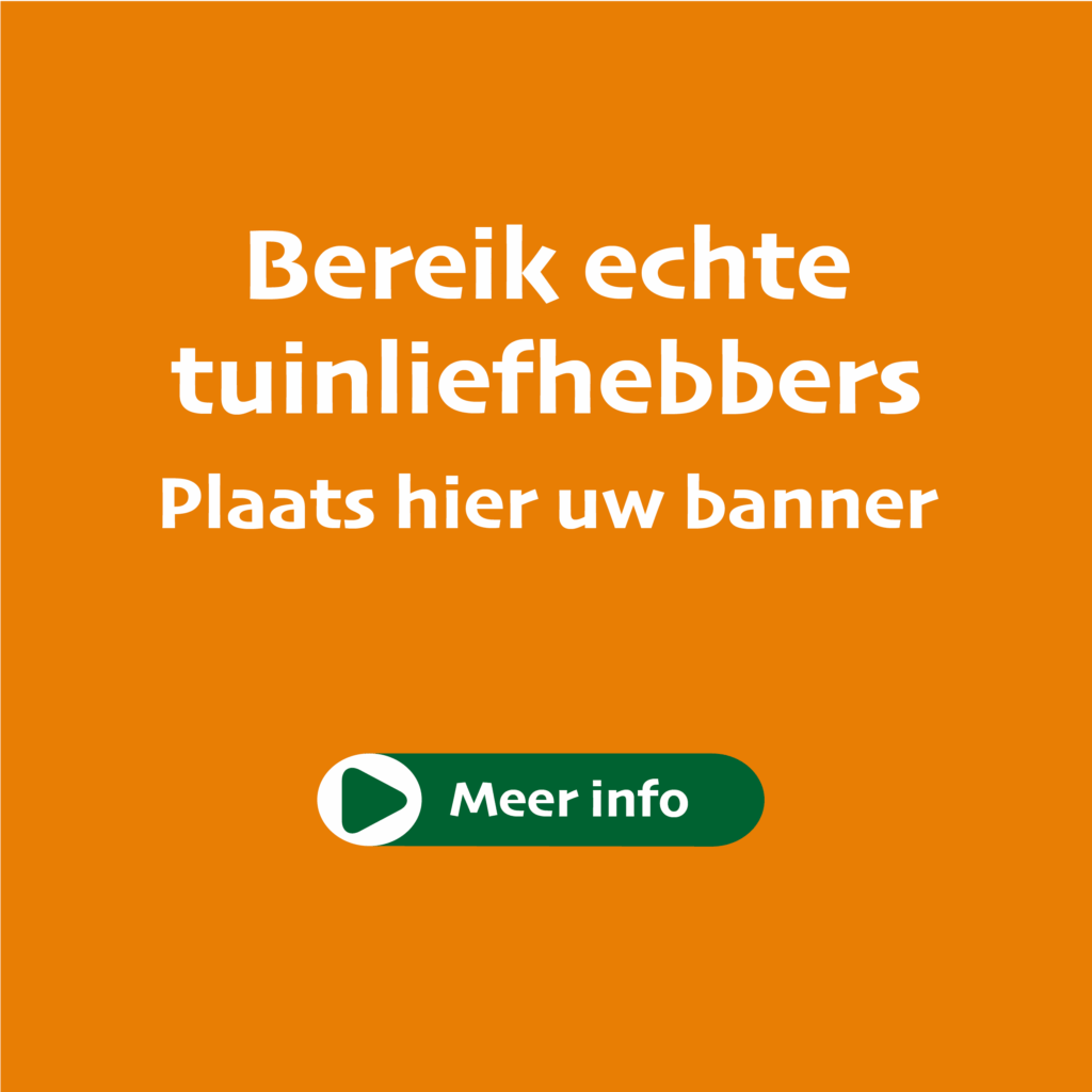 Advertentieruimte