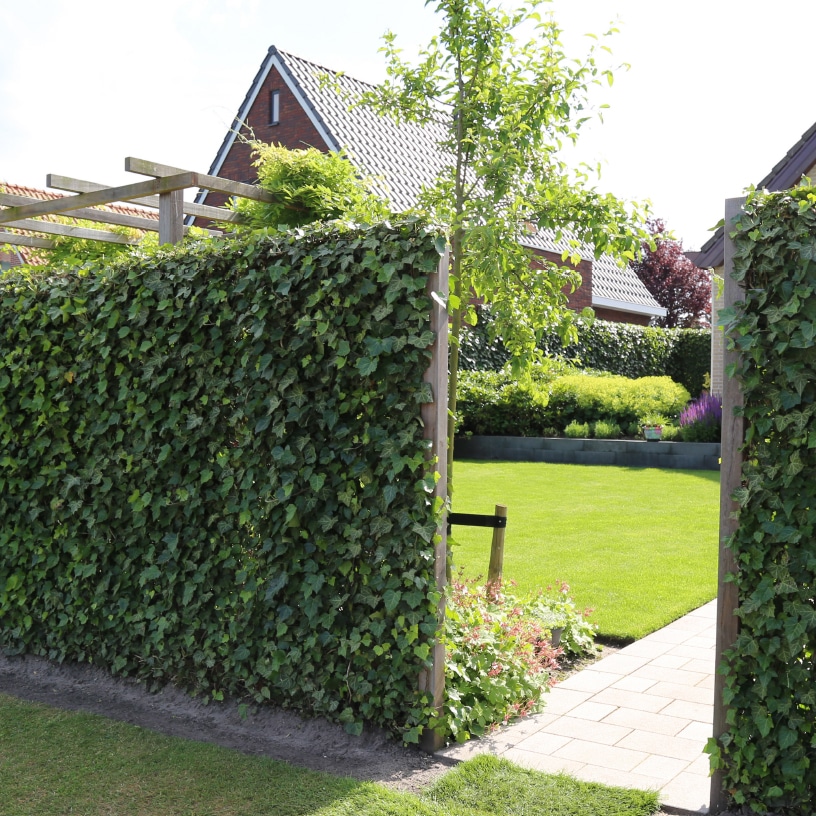 Direct genieten van groen