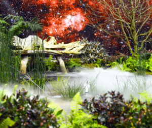 Expositie Waterwereld