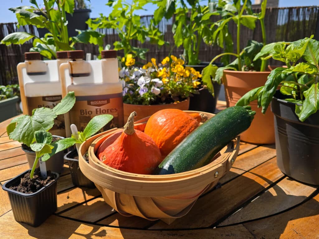 Moestuinieren voor iedereen, van jong tot oud, leuk en gezond