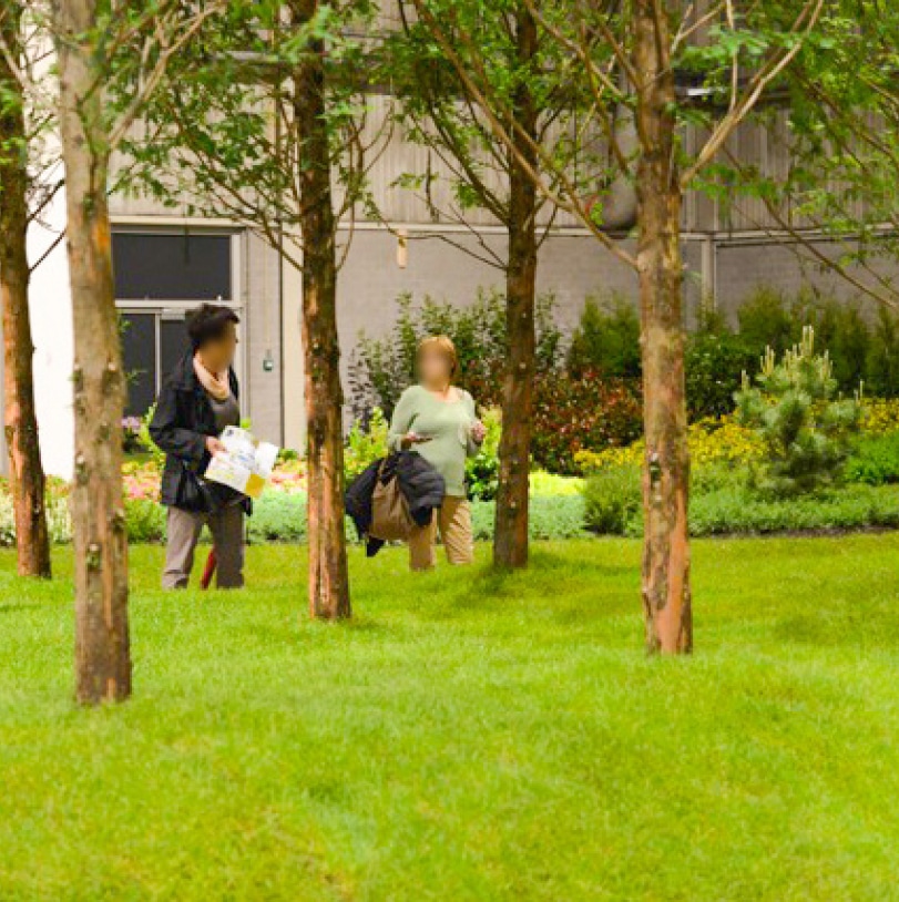 ontdek, beleef en geniet van nog veel meer op Leve de Tuin