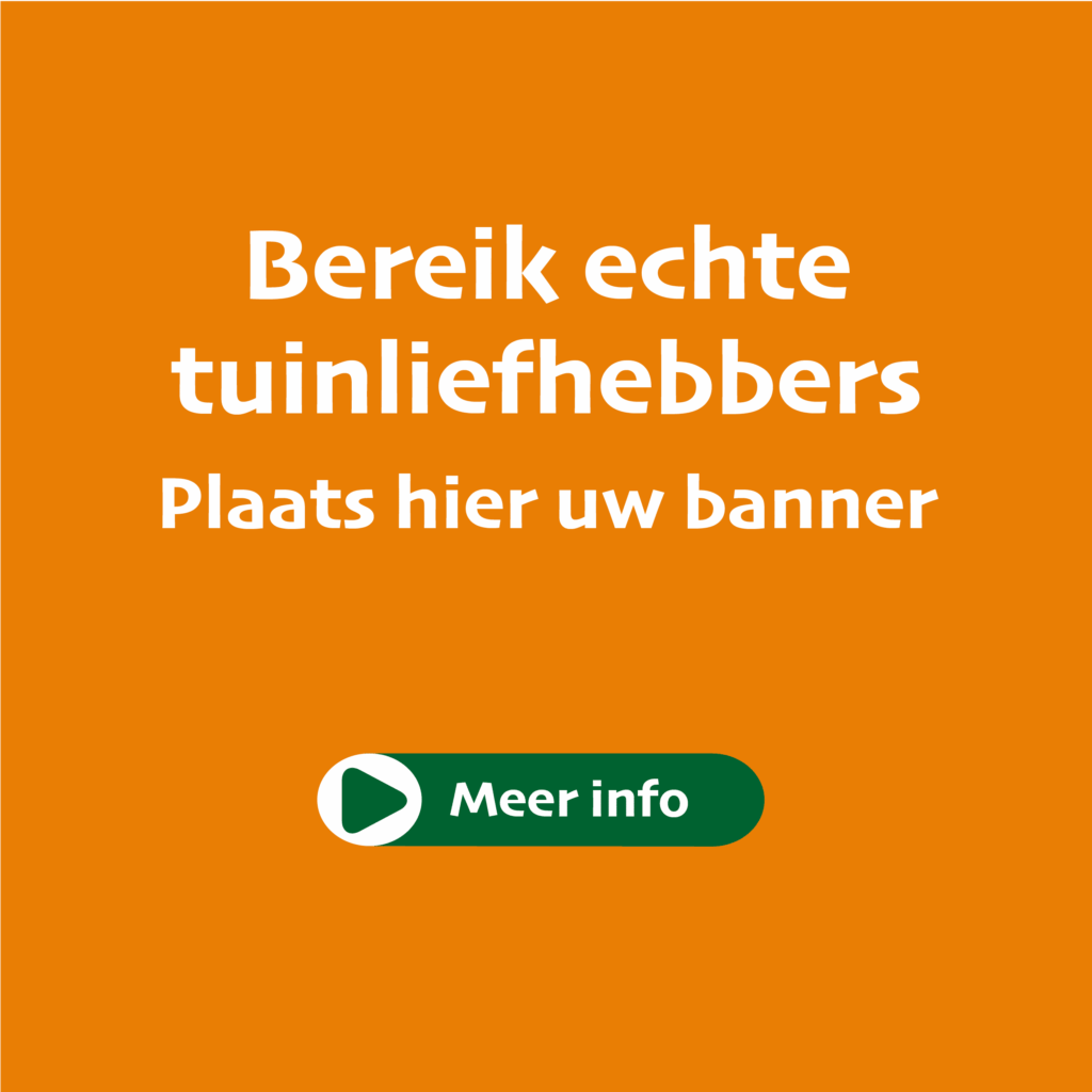 Advertentieruimte