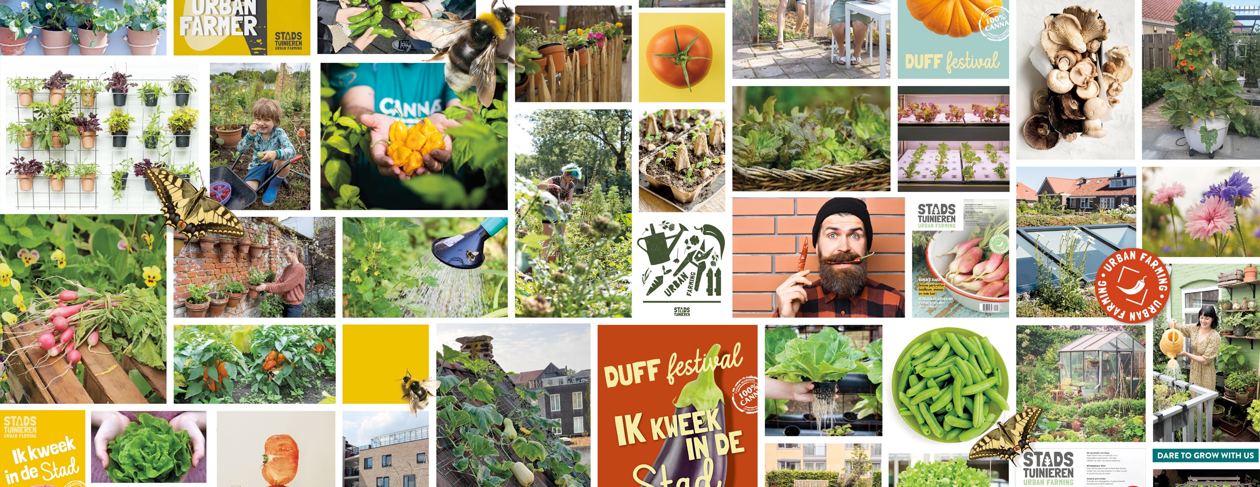 DUFF Festival - Leve de tuin